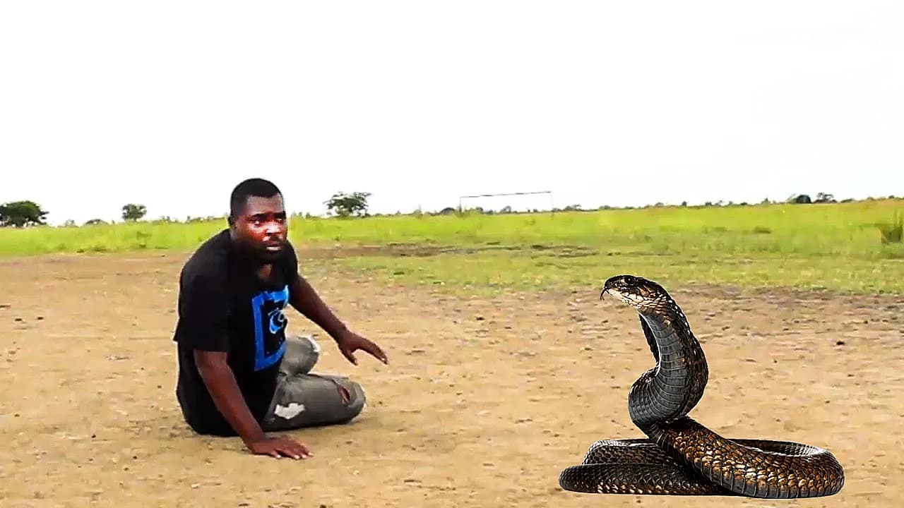 Tafadhali Kila Mtu Anapaswa Kutazama na Kujifunza - A Swahiliwood Bongo Movie