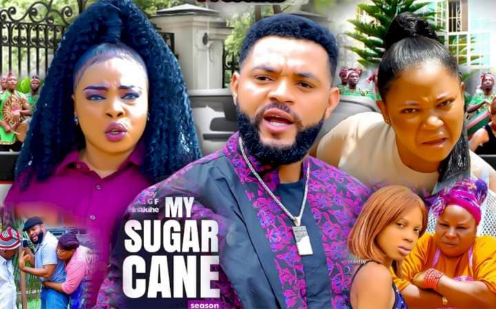 My Sugar Cane