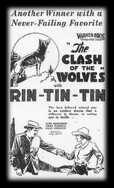 Clash of the Wolves