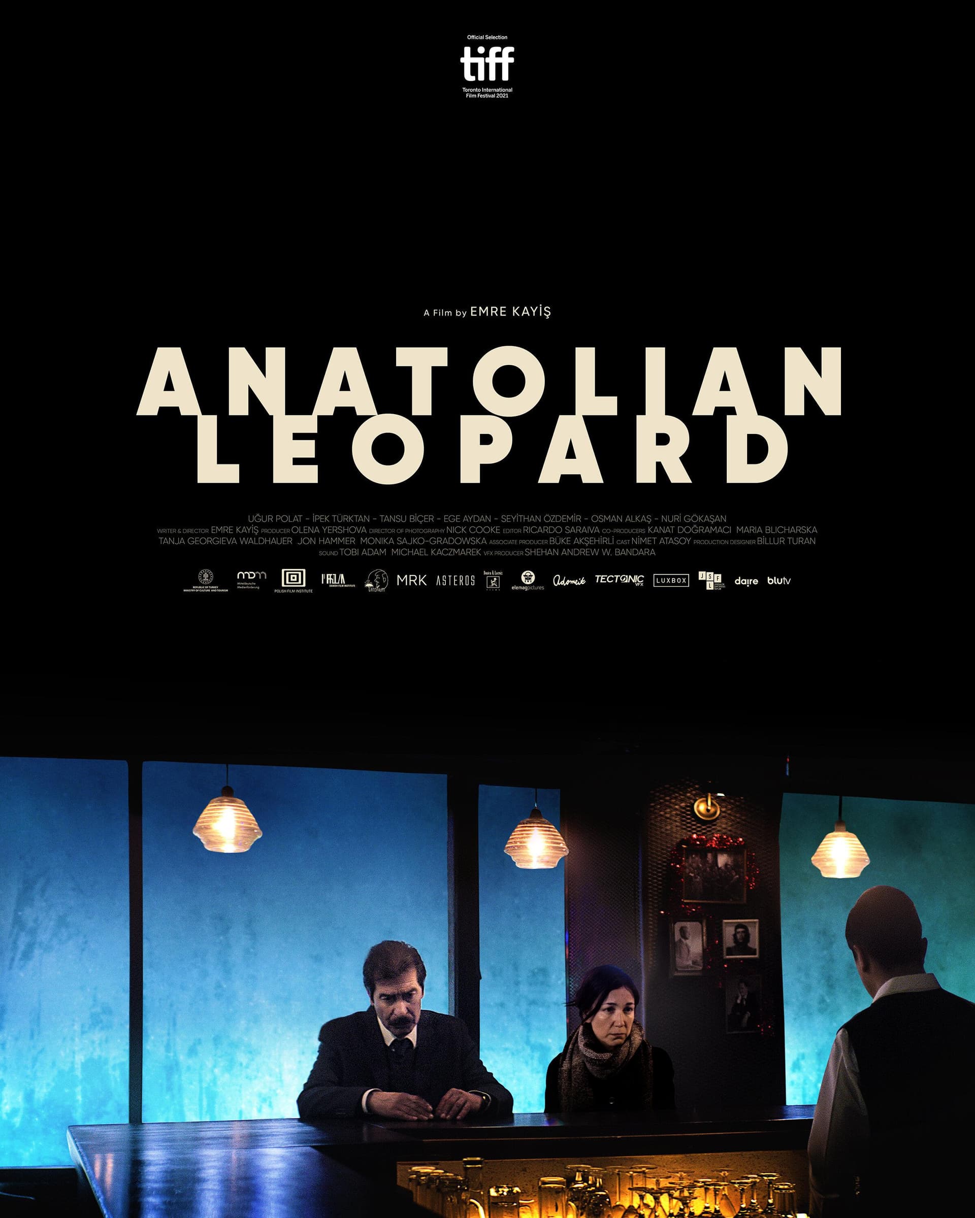Anatolian Leopard