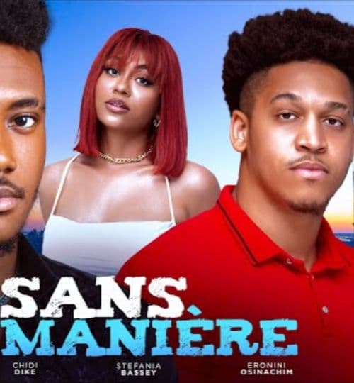 SANS MANIÈRES - MEILLEUR FILM NIGERIEN