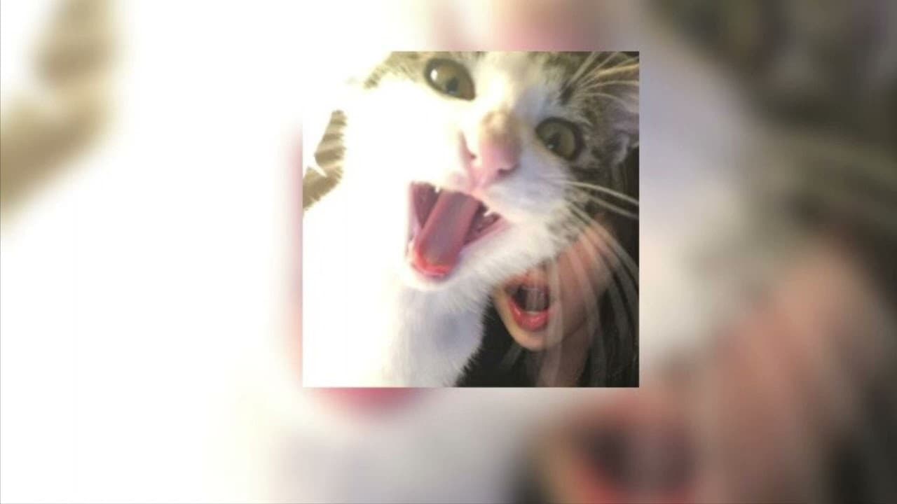 amazing - rex orange county (sped up)