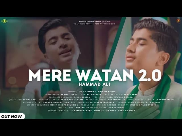 Meray Watan Ye Aqeedatein 2.0 | Hammad Ali | 14 August Song