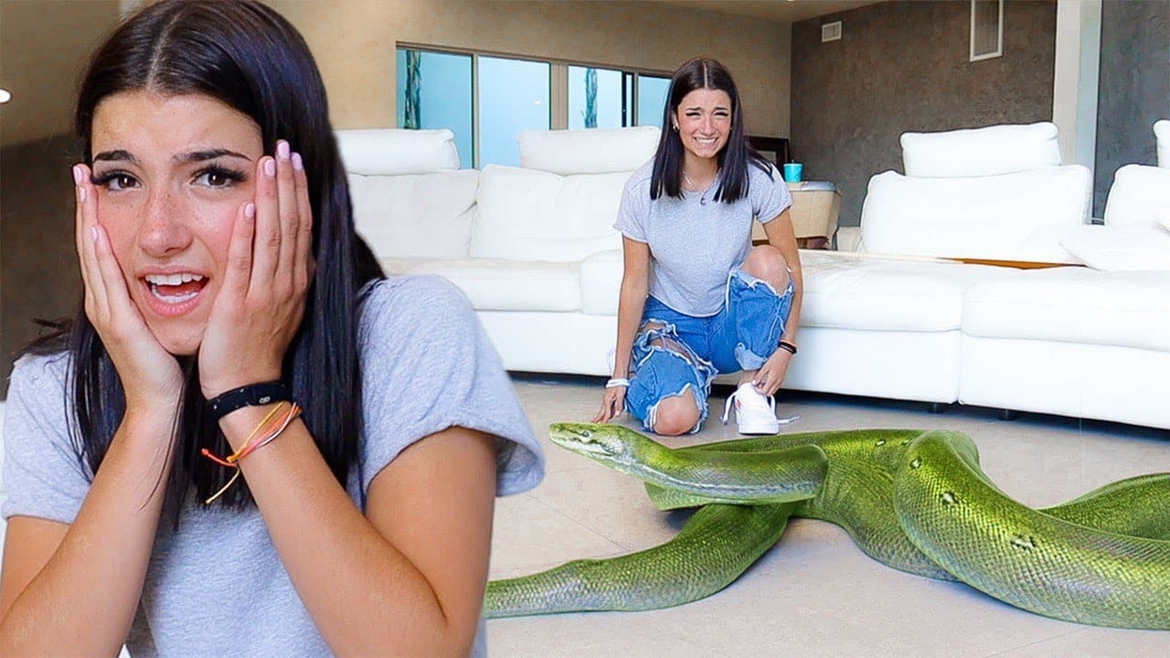 SCARING CHARLI D'AMELIO WITH GIANT SNAKE!!