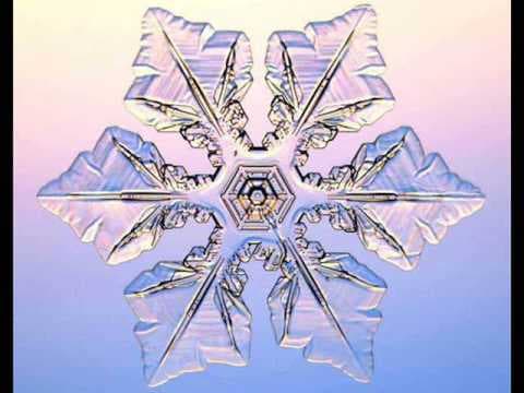 Winter Wonderland: Jason Mraz