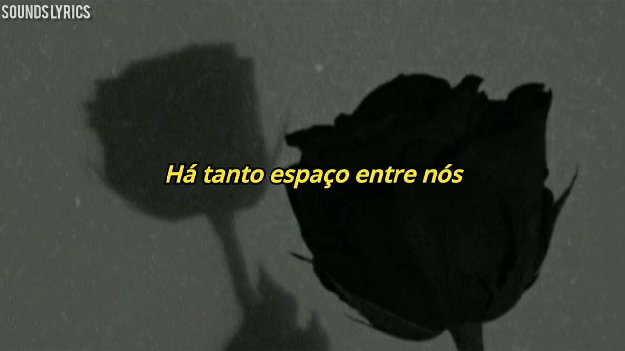 Adele - Love In The Dark (Legendado/Tradução)