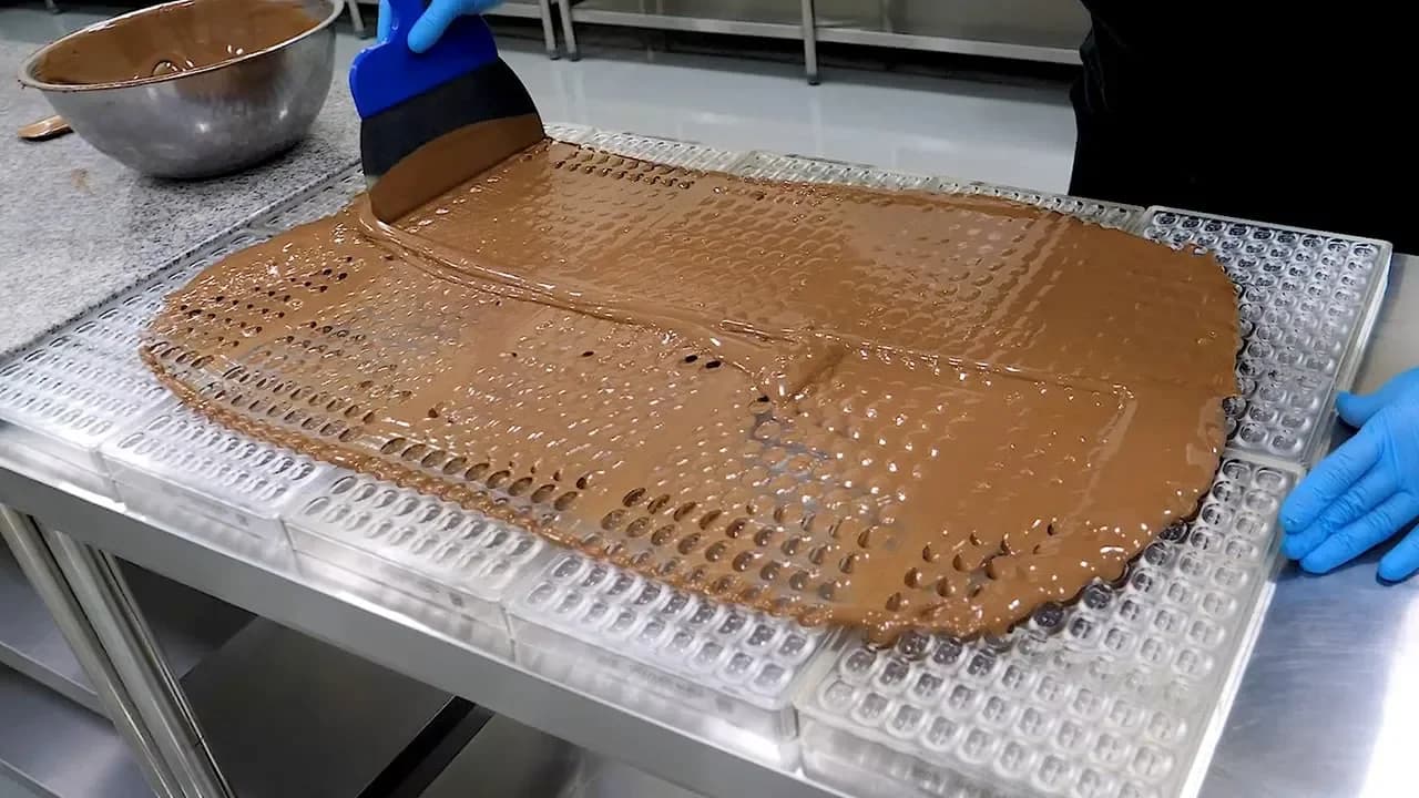 Handmade Chocolate Making Master / 초콜릿 공장의 수제 초콜릿 만들기 / Chocolate Factory in Korea