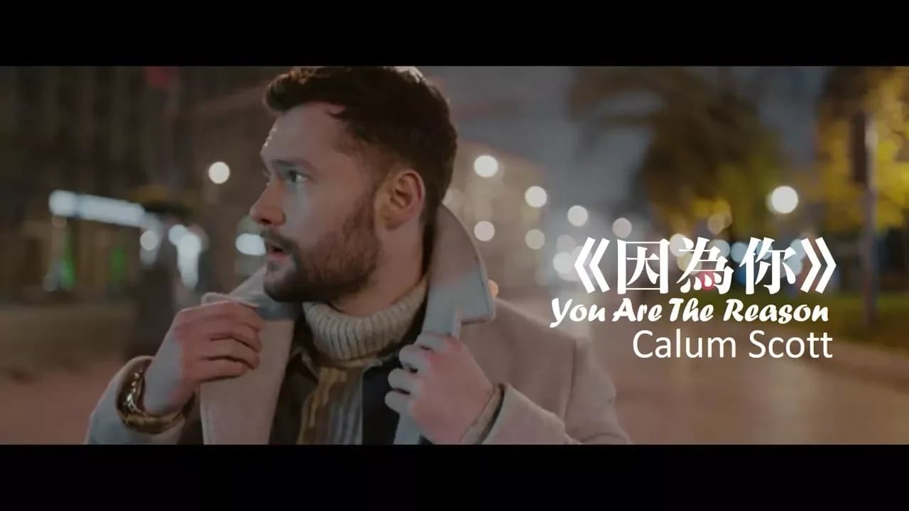 Calum Scott - You Are The Reason 因為你 (中文字幕MV)
