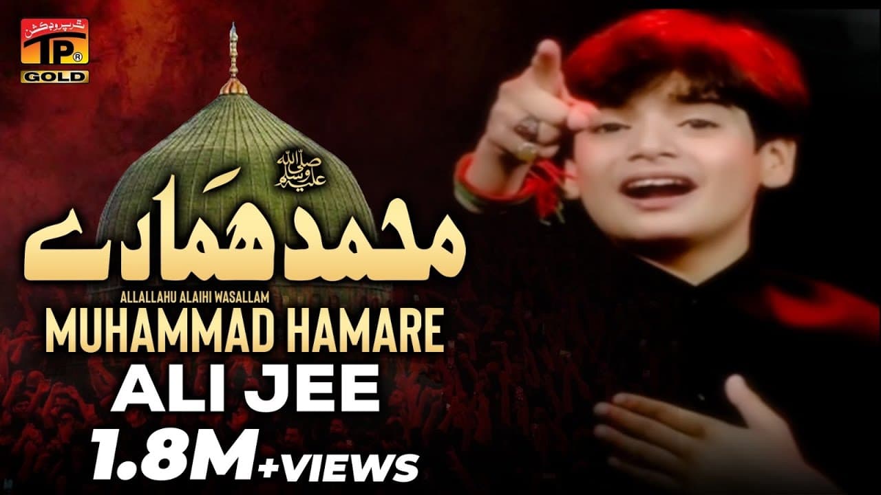Muhammad Hamare, Ali Shanawar & Ali jee 2013 14