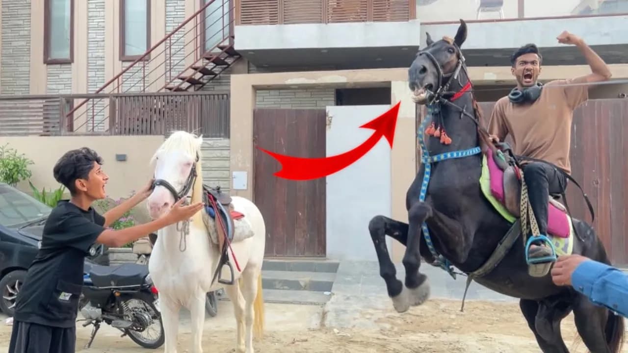 1 or Horse Le Aya🐎😳Horse ki Race Hogyi😡