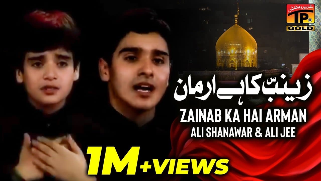 Zainab Ka Hai Arman, Ali Shanawar & Ali jee 2013 14