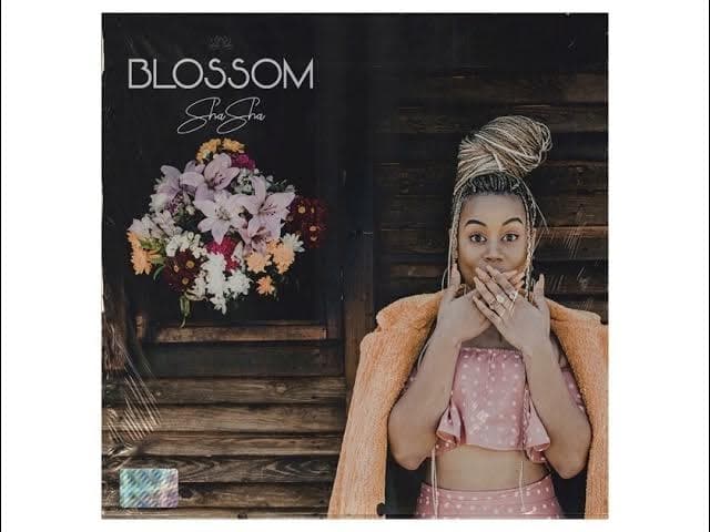 Something About You feat  DJ Maphorisa & Kabza De Small (Official Audio) | ShaSha