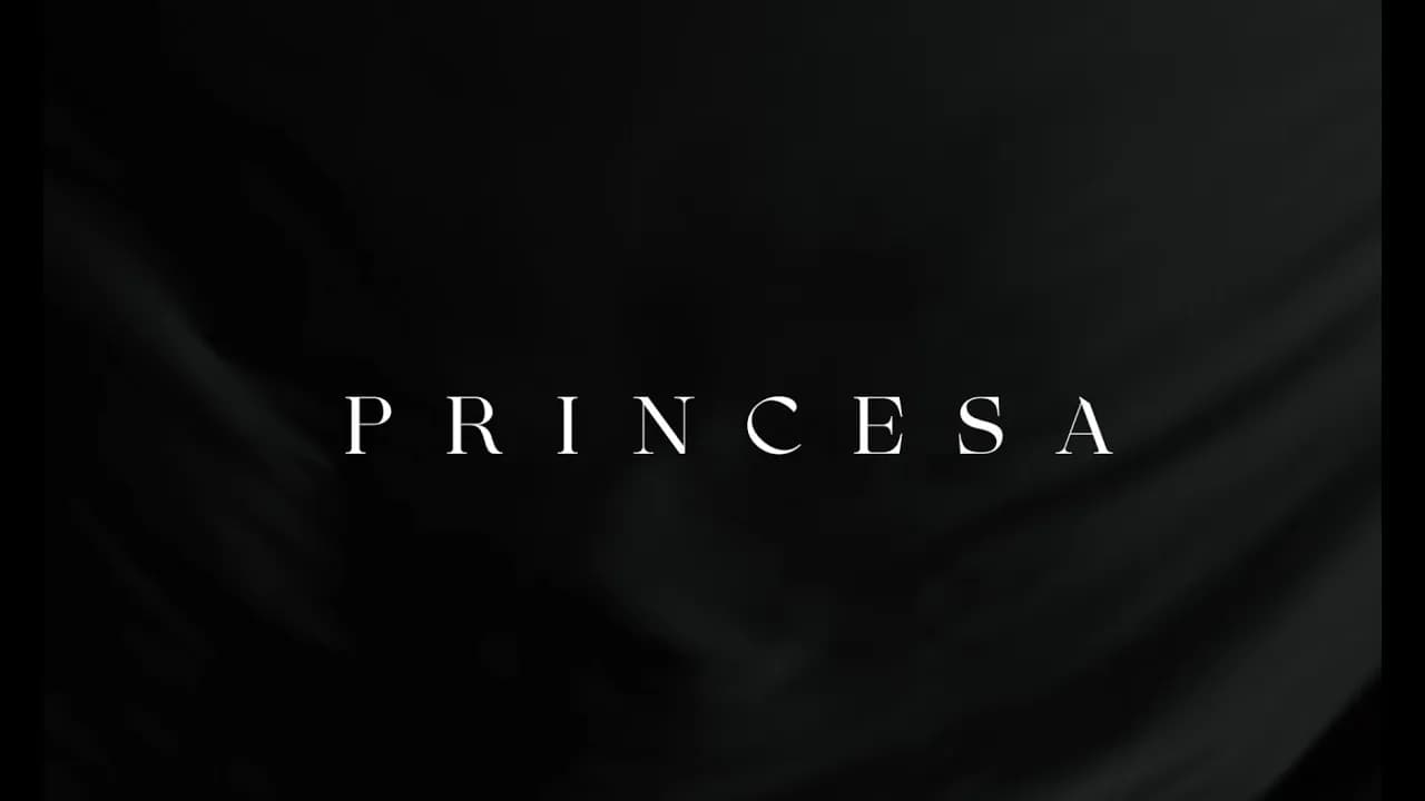 Fondo Flamenco - Princesa 2022 (VideoLyric)