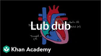 Organ systems | MCAT | Khan Academy