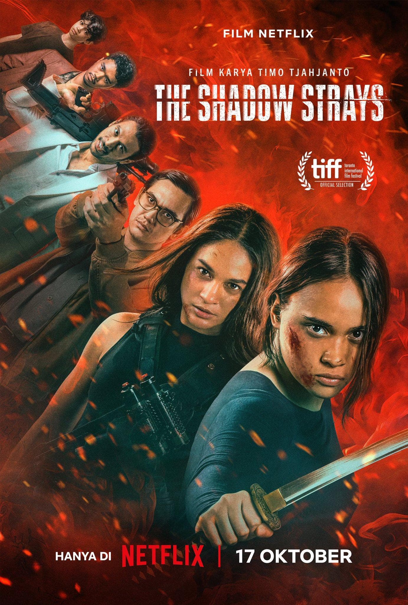 The Shadow Strays [English]