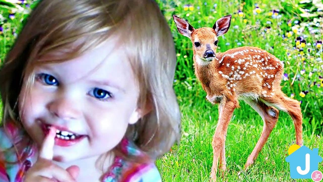 Nature - J House jr.