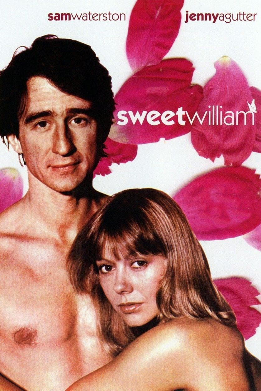 Sweet William
