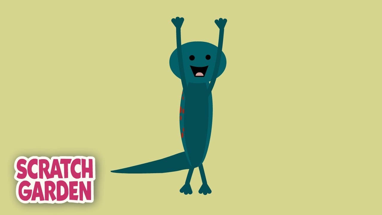 Salamander Yoga | Scratch Garden