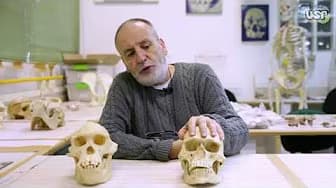 A Saga da Humanidade, por Walter Neves | Aulas USP