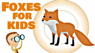 Foxes for Kids