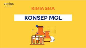 What is the Mole Unit?