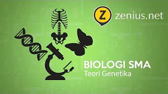 Genetics Theory (So, Is a Gene DNA or Protein?)