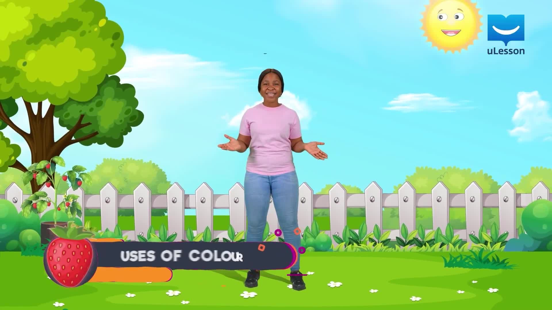 Uses of Colour