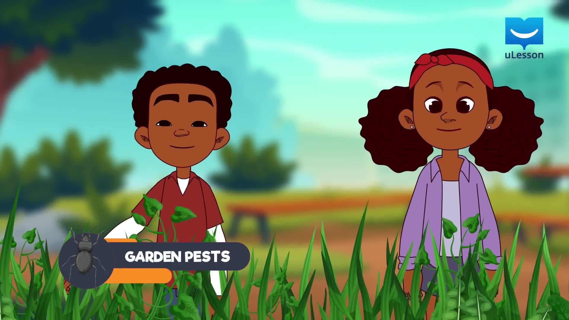 Garden Pest
