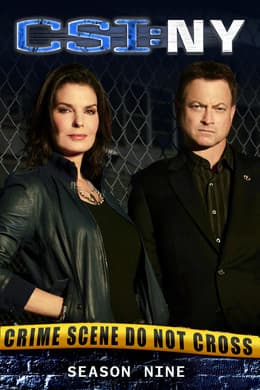 CSI: NY S9