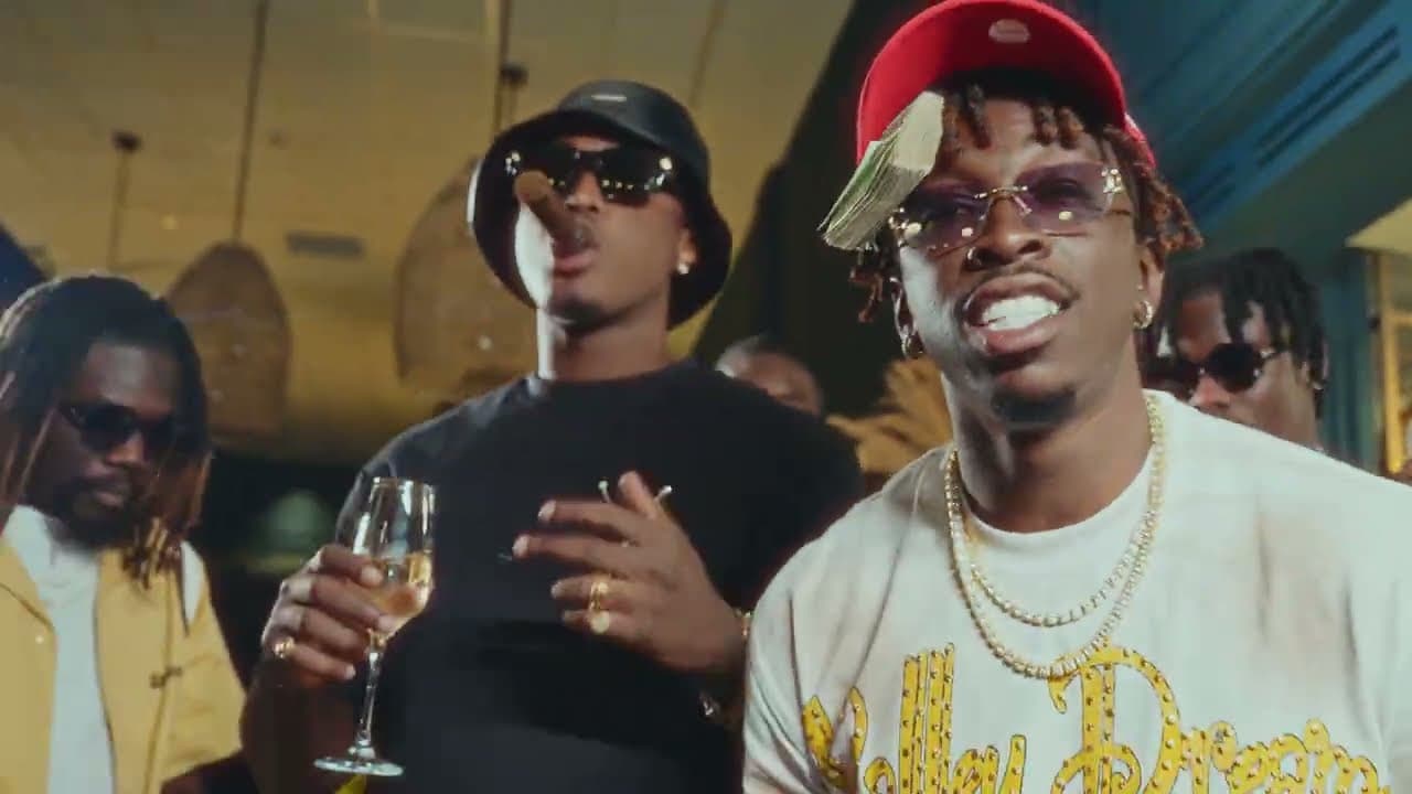Team Paiya, l'oiseau rare - Tui Tui (clip officiel)