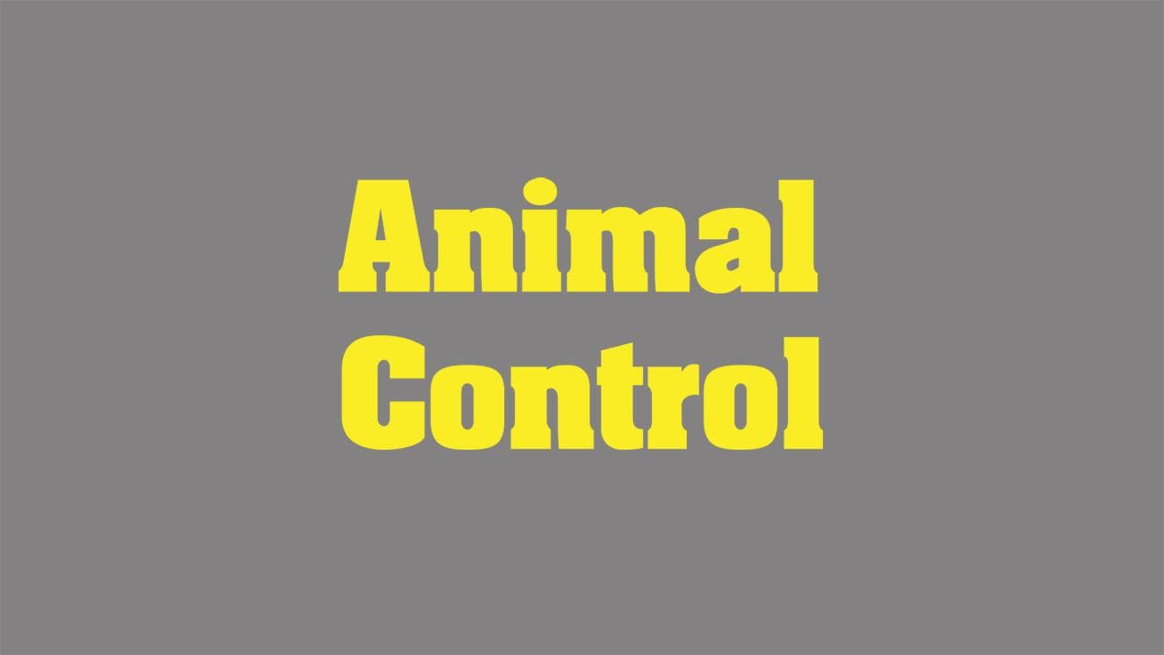 Animal Control