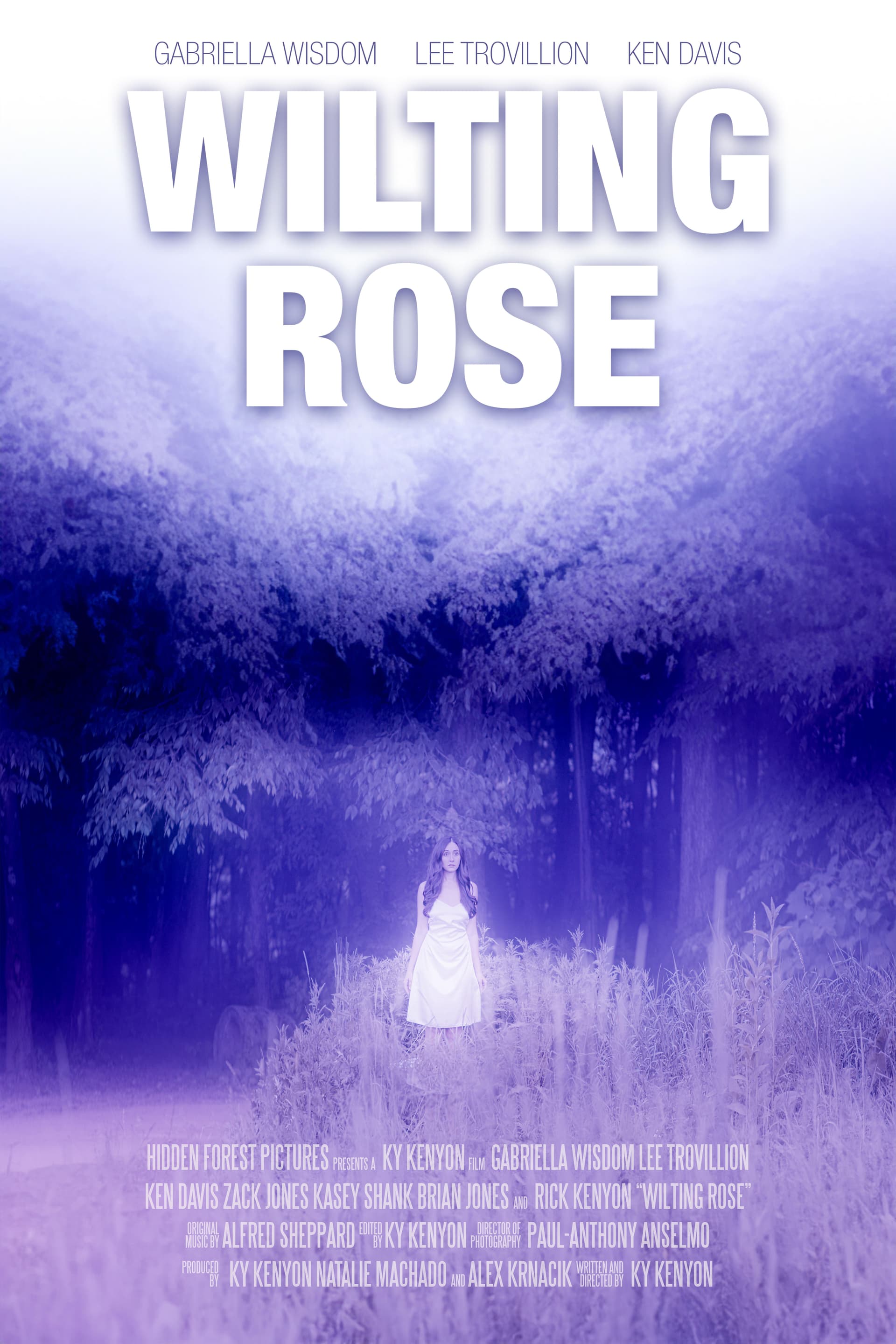 Wilting Rose