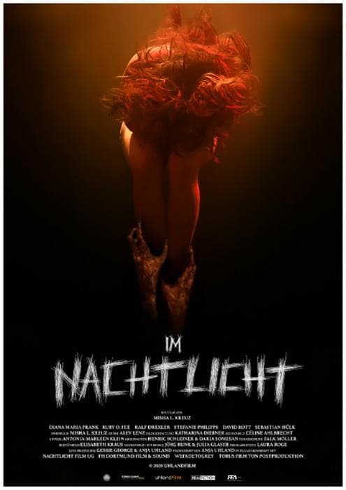 In the Light of the Night