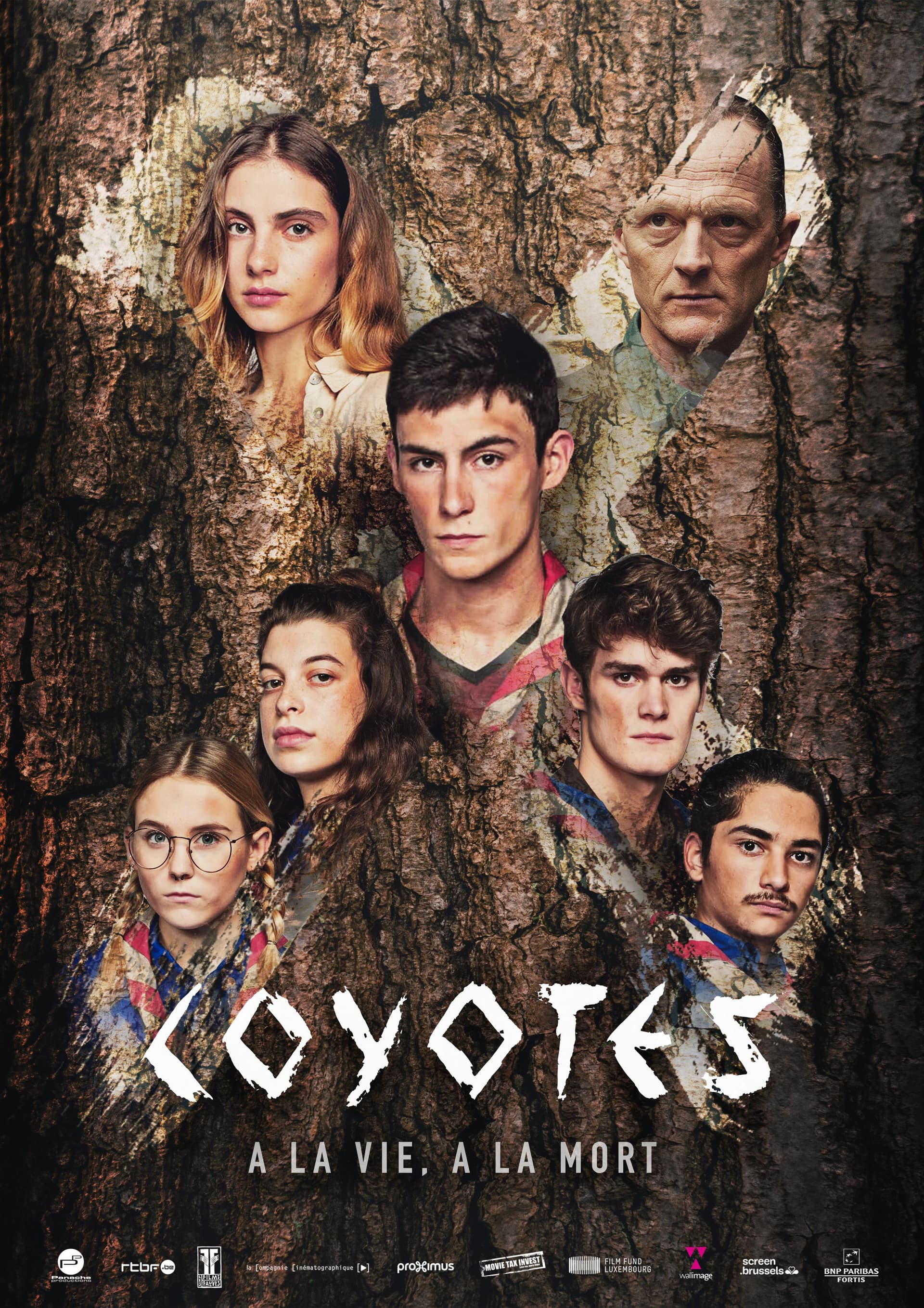 The Coyotes