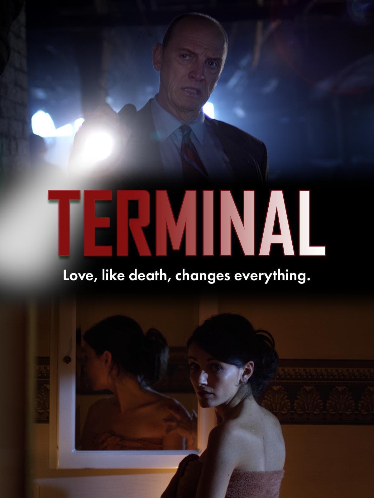 Terminal