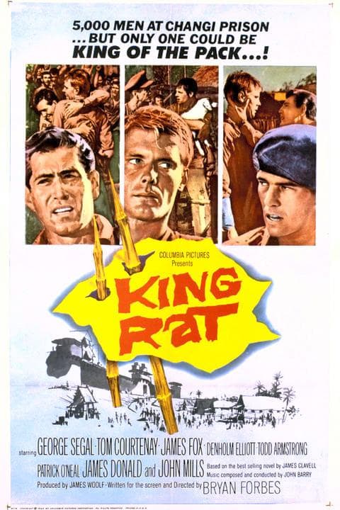 King Rat
