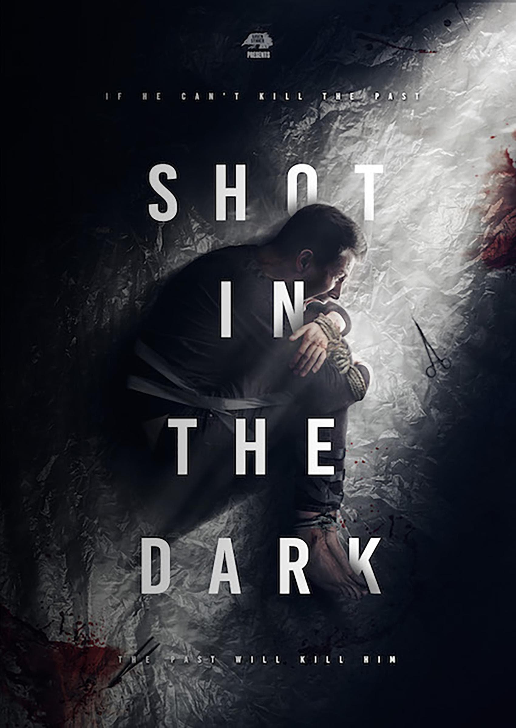 Shot in the Dark
