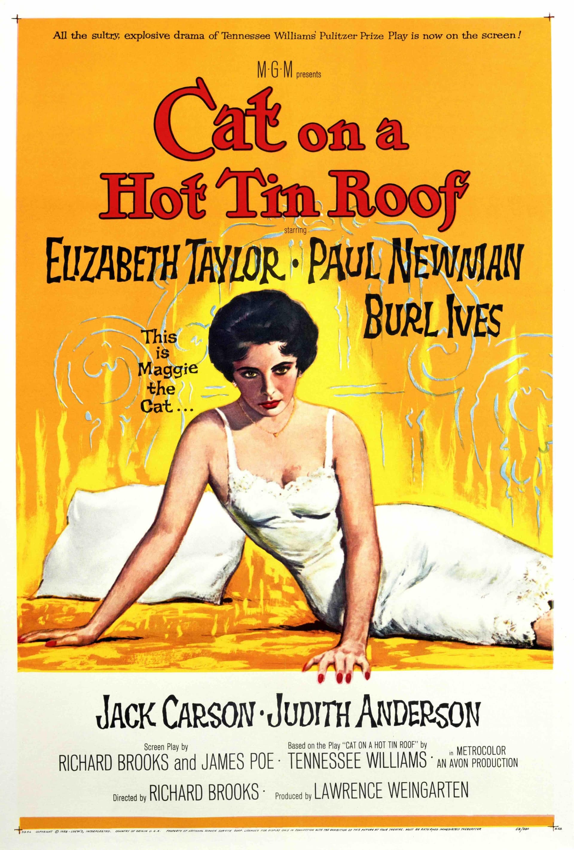 Cat on a Hot Tin Roof