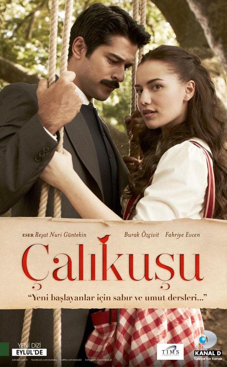 Lovebird