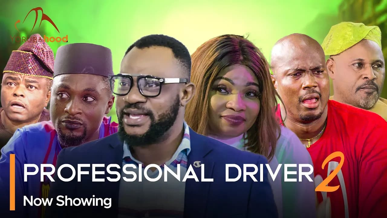 Professional Driver 2