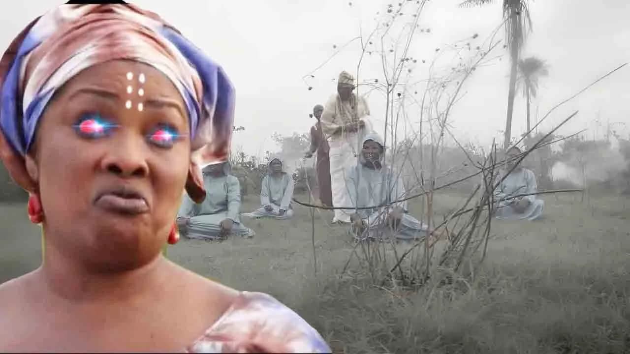 Omo Olu Awo