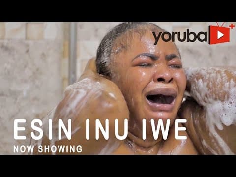 Esin Inu Iwe