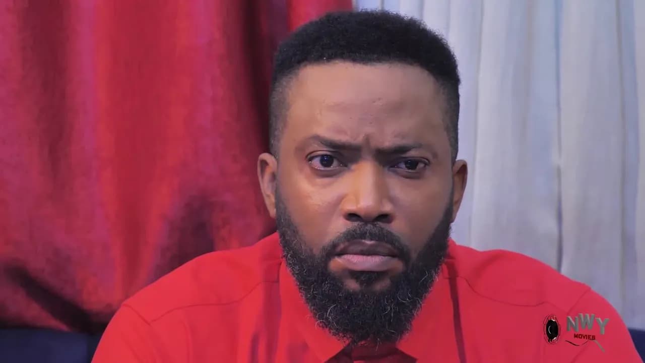 THE WORLD OF MR PAUL