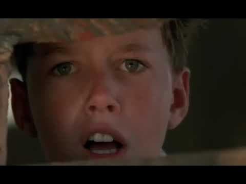 p movies