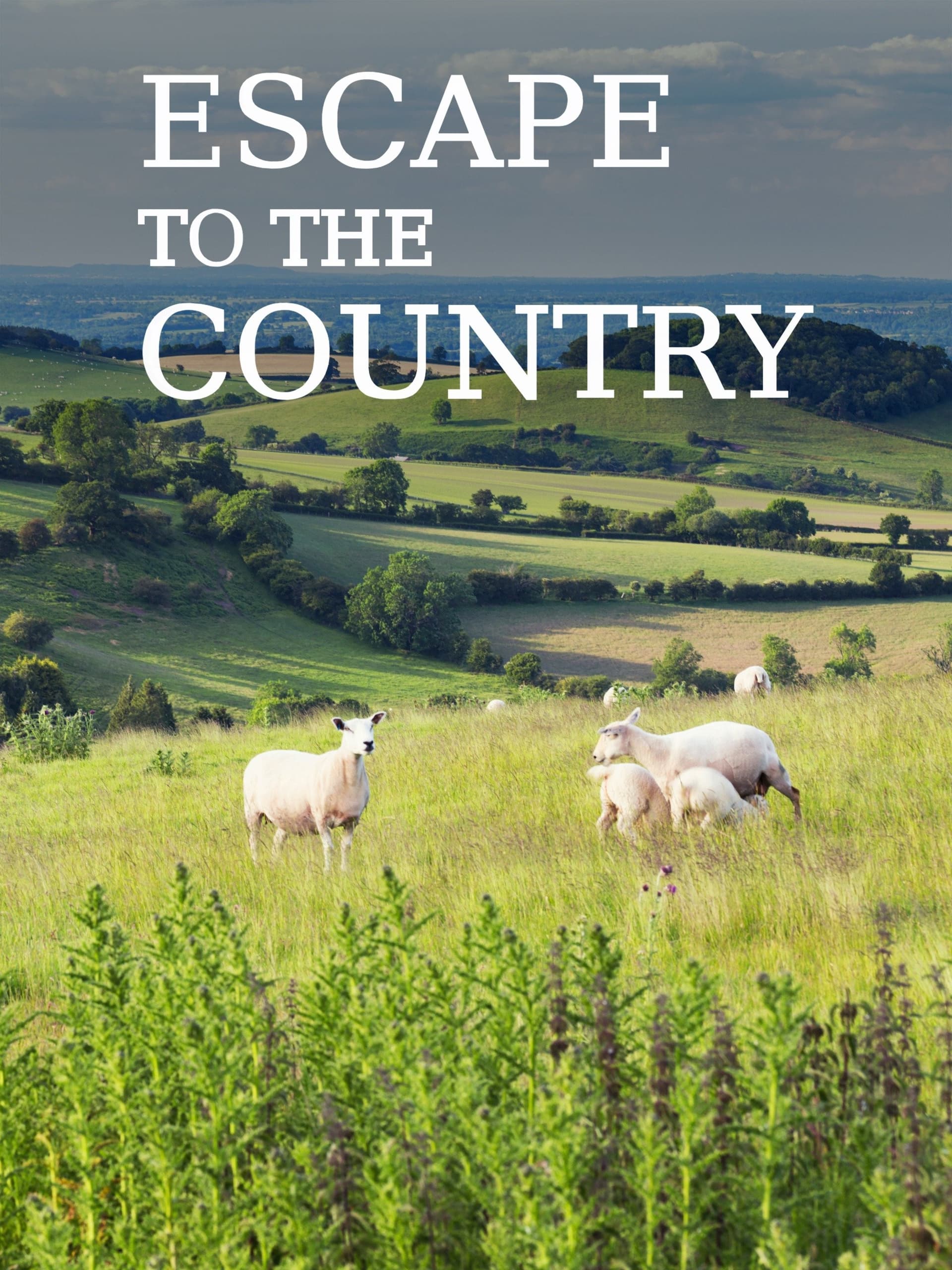 Escape to the Country S14-S26